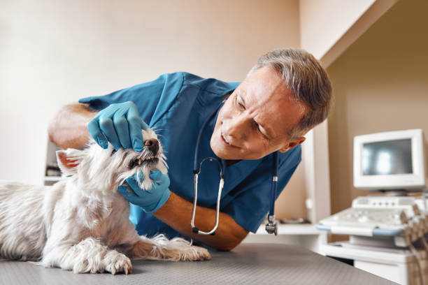 Best Emergency Root Canal Treatment in Norfolk, NE